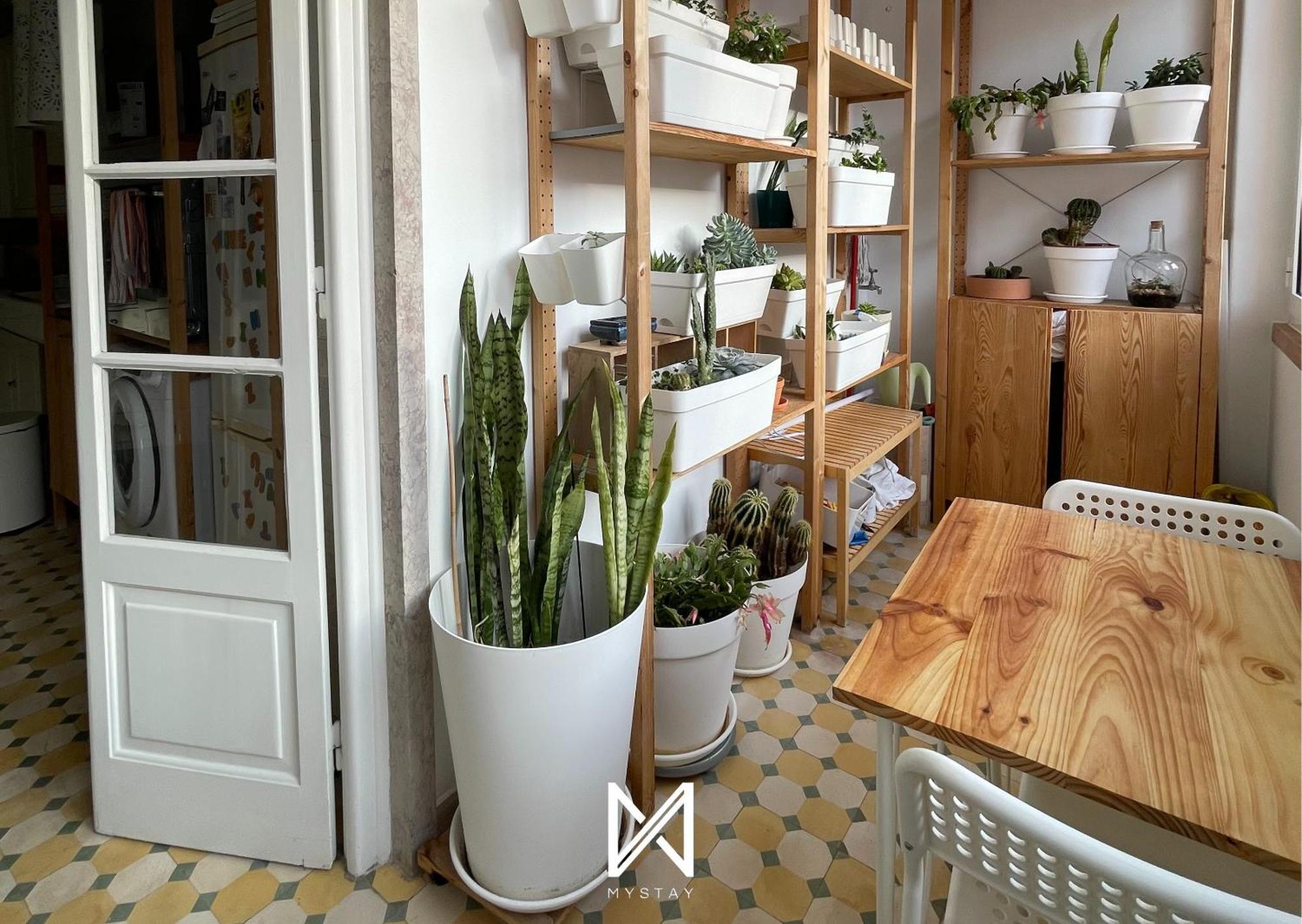 Hospedagem domiciliar That Place For U - Vintage Lisboa